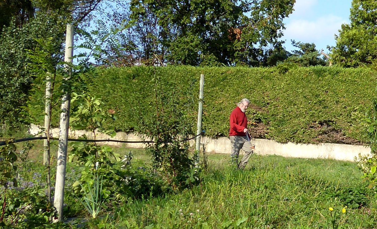 électro culture géobiologie